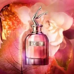 عطر زنانه اسکاندال ژان پل گوتیه ادو پرفیوم Jean Paul Gaultier Scandal Eau de Parfum