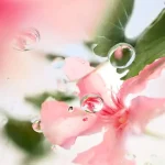 عطر زنانه لانکوم اور د تاپ ادو پرفیوم Lancôme ÔVER THE TOP Eau de Parfum