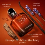 عطر مردانه استرانگر ویت یو ابسولوتلی جورجیو آرمانی ادو پرفیوم Stronger With You Absolutely Eau de Parfum Giorgio Armani