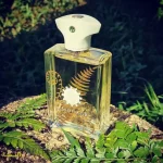 عطر مردانه آمواج براکن ادو پرفیوم Amouage Bracken Man Eau de Parfum