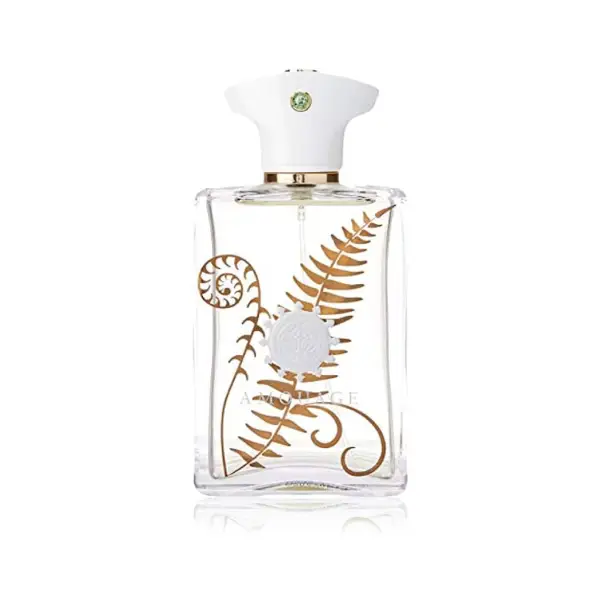 عطر مردانه آمواج براکن ادو پرفیوم Amouage Bracken Man Eau de Parfum