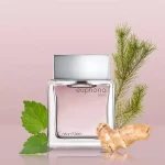 عطر مردانه کالوین کلاین ایفوریا ادو تویلت Calvin Klein Euphoria Men Eau de Toilette