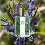 عطر مردانه کارون پور آن هوم ادو تویلت Caron Pour Un Homme Eau de Toilette