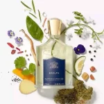 عطر مردانه کرید ارولفا ادو پرفیوم Creed Erolfa Eau de Parfum