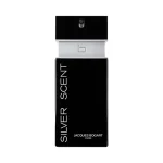 عطر مردانه سیلور سنت ژاک بوگارت ادو تویلت Jacques Bogart Silver Scent Eau de Toilette