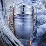 عطر مردانه پاکو رابان اینوکتوس ادو تویلت Paco Rabanne Invictus Eau de Toilette