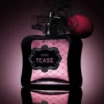عطر زنانه نویر تیز ویکتوریا سکرت ادو پرفیوم Victoria's Secret Noir Tease Eau de Parfum