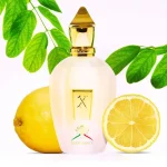 عطر یونیسکس زرجوف رنسانس ادو پرفیوم Xerjoff Renaissance Eau de Parfum