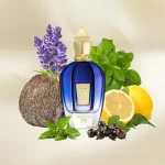عطر یونیسکس زرجوف تورینو ۲۱ ادو پرفیوم Xerjoff Torino21 Eau de Parfum