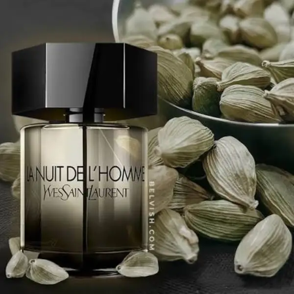 عطر مردانه ایو سن لوران لانویت د لهوم ادو تویلت Yves Saint Laurent La Nuit de L'Homme Eau de Toilette