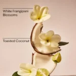 بادی اسپلش زنانه بث اند بادی ورکز ات د بیچ Bath & Body Works At the Beach Fine Fragrance Mist