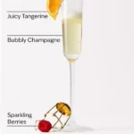 بادی اسپلش زنانه بث اند بادی ورکز شامپاین تست Bath & Body Works Champagne Toast Fine Fragrance Mist