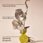 بادی اسپلش زنانه بث اند بادی ورکز پلاتینیوم Bath & Body Works Platinum Fine Fragrance Mist
