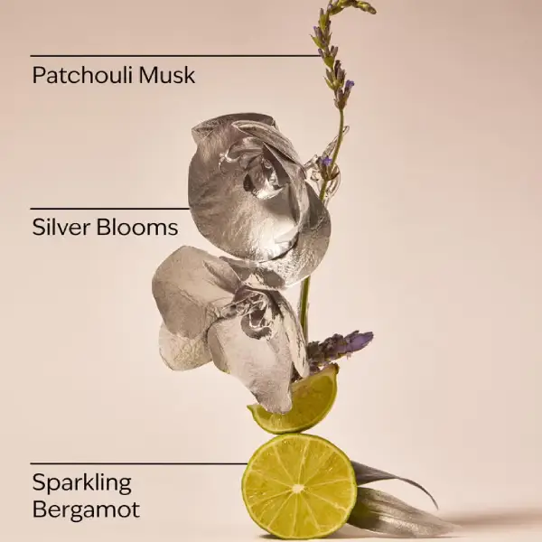 بادی اسپلش زنانه بث اند بادی ورکز پلاتینیوم Bath & Body Works Platinum Fine Fragrance Mist
