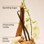 بادی اسپلش زنانه بث اند بادی ورکز وارم وانیلا شوگر Bath & Body Works Warm Vanilla Sugar Fine Fragrance Mist