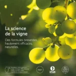 کرم ضد جوش سالیسیلیک کدالی وینوپور Caudalie Vinopure Stop Boutons Salicylique