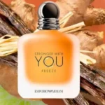 عطر مردانه جورجیو آرمانی فریز ادو تویلت Giorgio Armani Freeze Eau de Toilette
