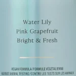بادی اسپلش زنانه ویکتوریا سیکرت آکوا کیس Victoria's Secret Aqua Kiss Fragrance Mist